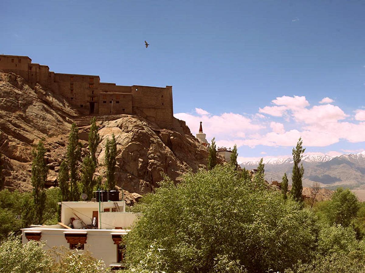 The Hotel Himalaya, Leh Exterior photo